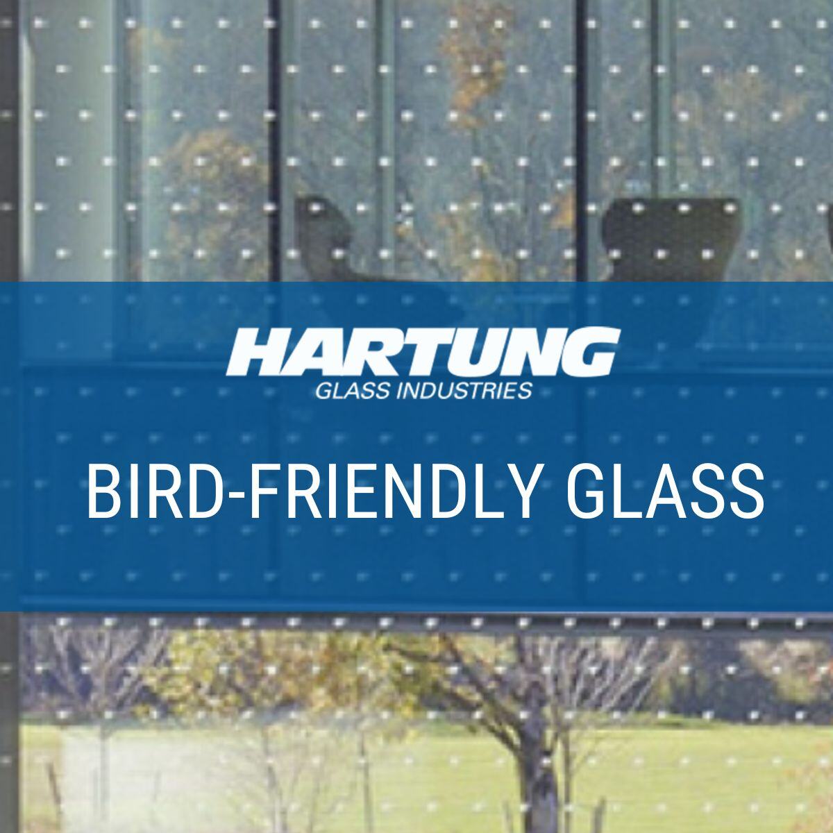 Bird-Friendly Glass by Hartung Glass 